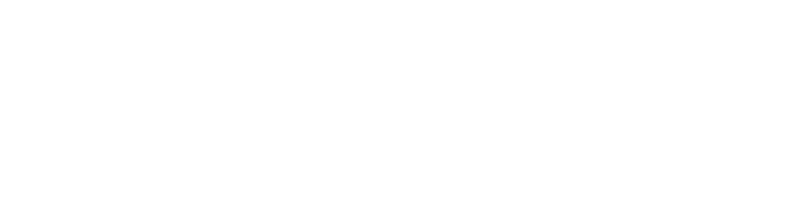 GlobalLogo_NTTDATA_White_RGB